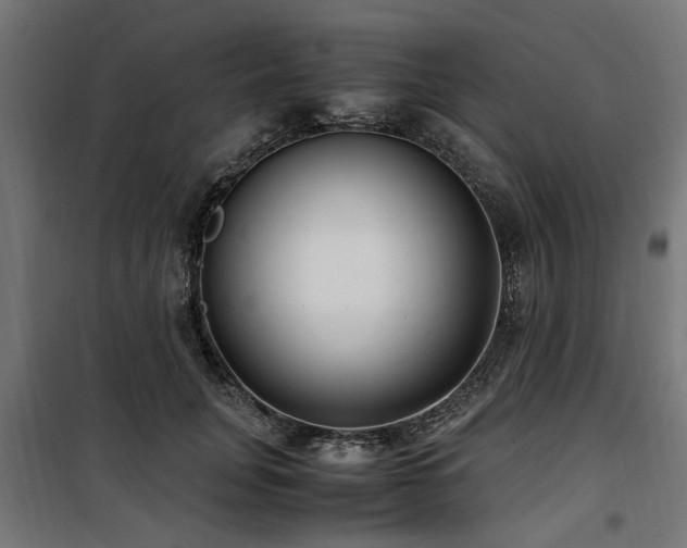 X0000100860751200806201216