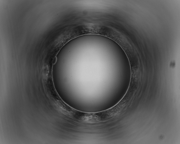 X0000100860752200806201217