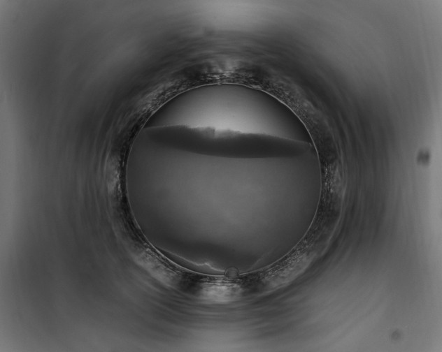 X0000100860754200806201217