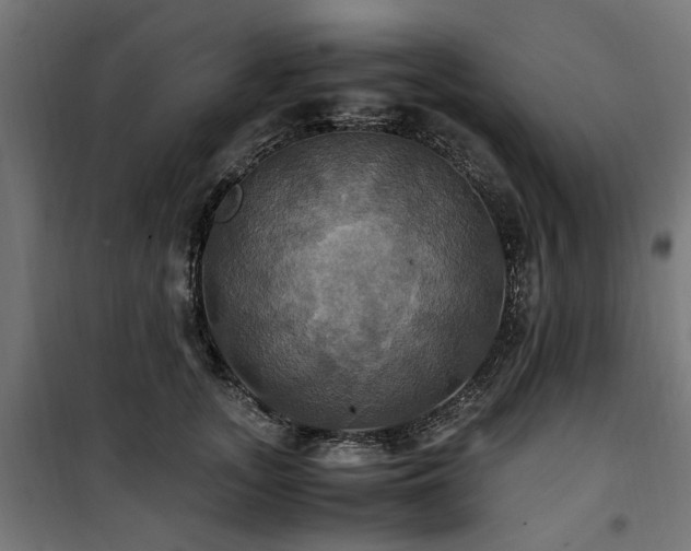 X0000100860755200806201217