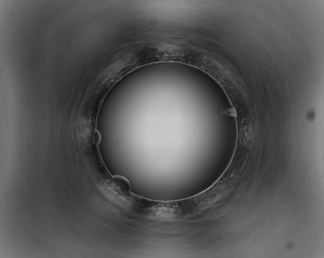 X0000100860756200806201217