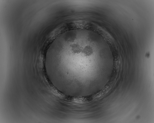 X0000100860757200806201217