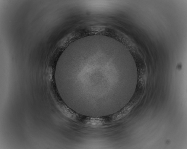 X0000100860758200806201217