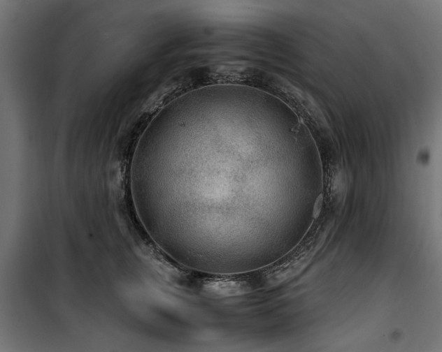 X0000100860759200806201217