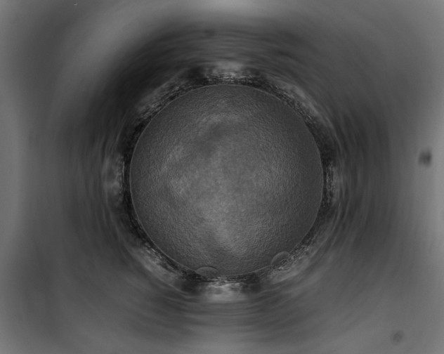 X0000100860760200806201217