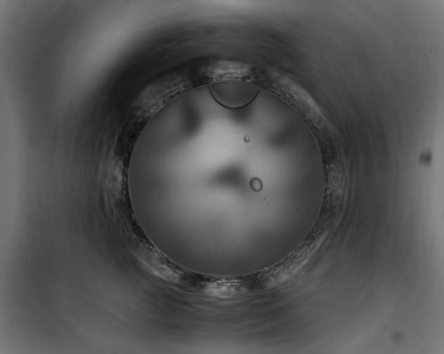 X0000100860761200806201217