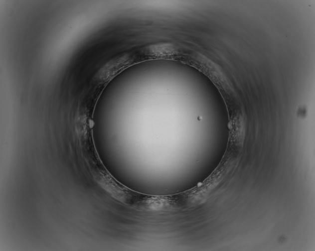 X0000100860762200806201217