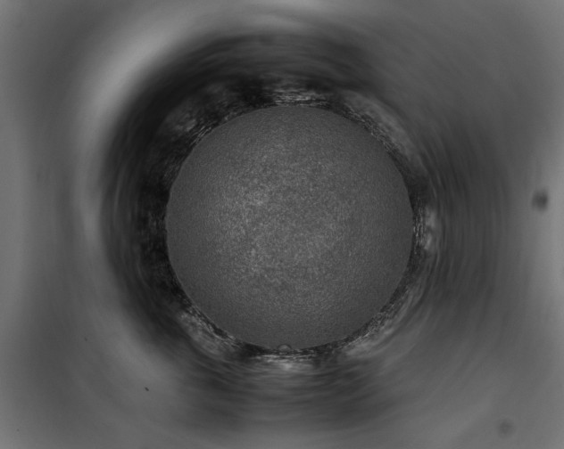 X0000100860763200806201217