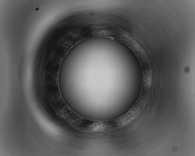 X0000100860764200806201217