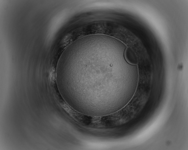 X0000100860766200806201217