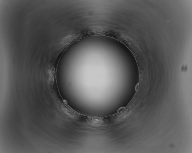 X0000100860768200806201217