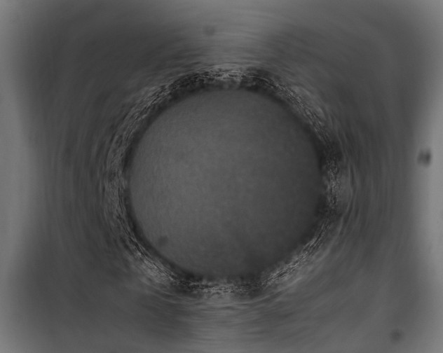 X0000100860769200806201216