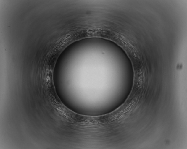 X0000100860770200806201216