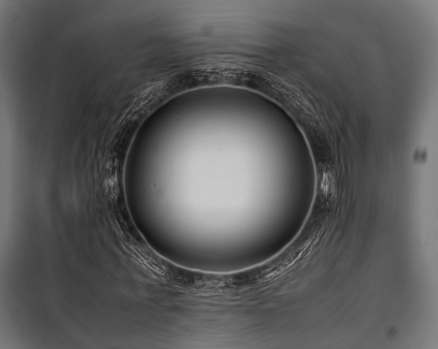 X0000100860771200806201216