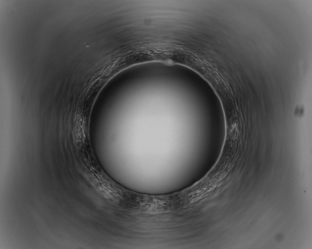 X0000100860772200806201216