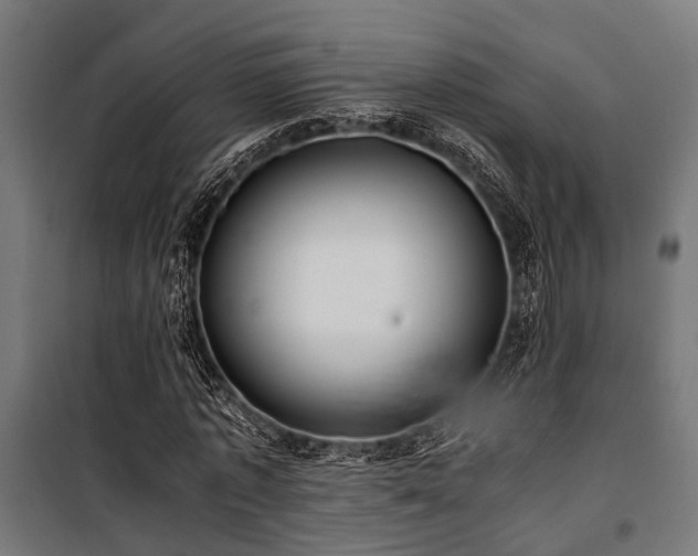 X0000100860773200806201216