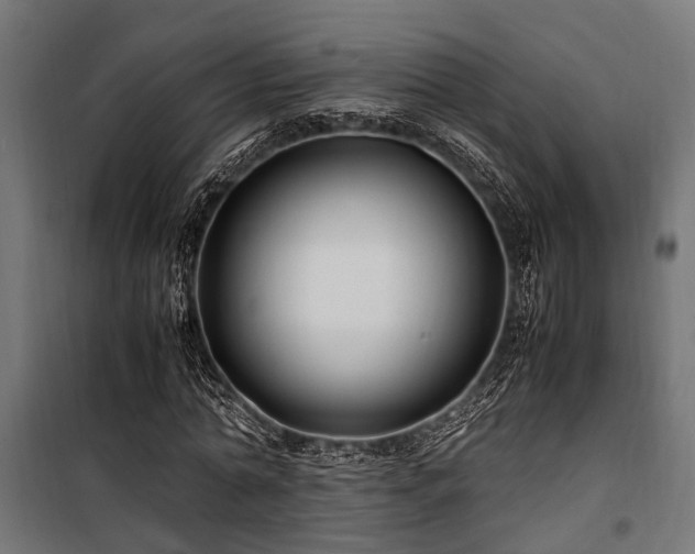 X0000100860774200806201216