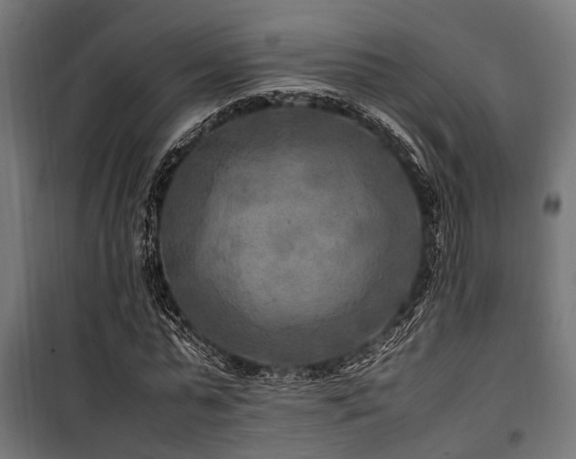 X0000100860775200806201216