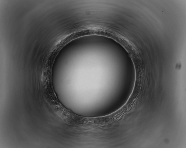 X0000100860776200806201216