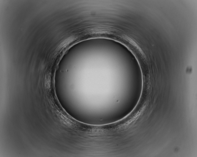 X0000100860777200806201216