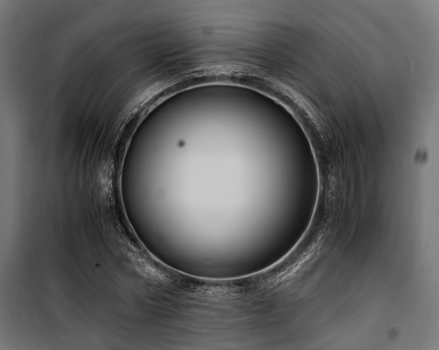 X0000100860778200806201216