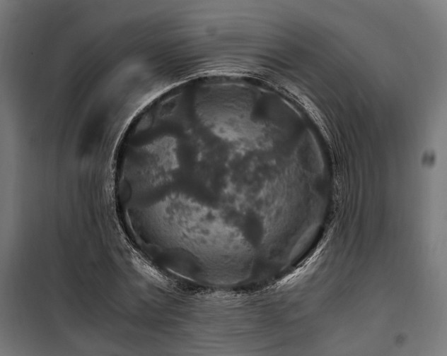 X0000100860779200806201216