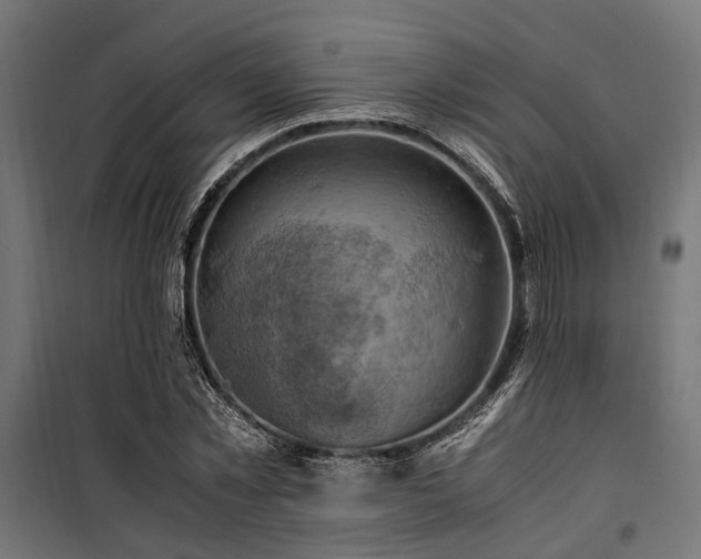 X0000100860781200806201216