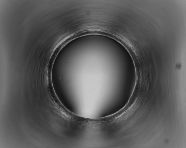 X0000100860782200806201216