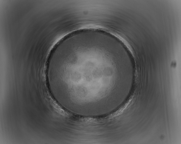 X0000100860783200806201216