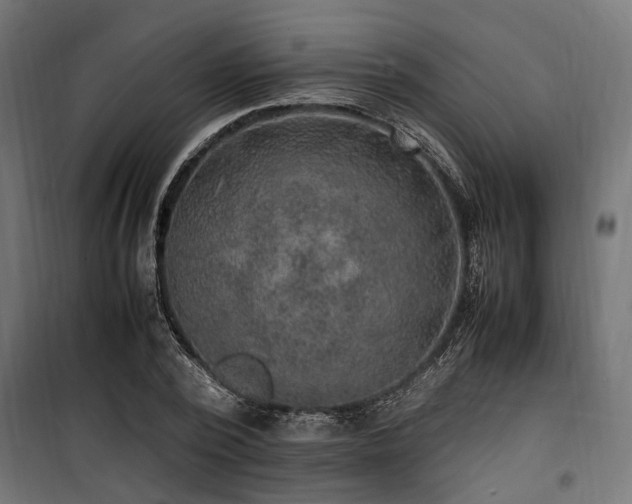 X0000100860784200806201216