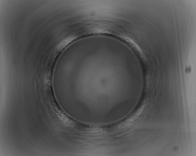 X0000100860785200806201216