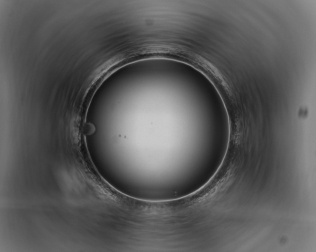 X0000100860786200806201216