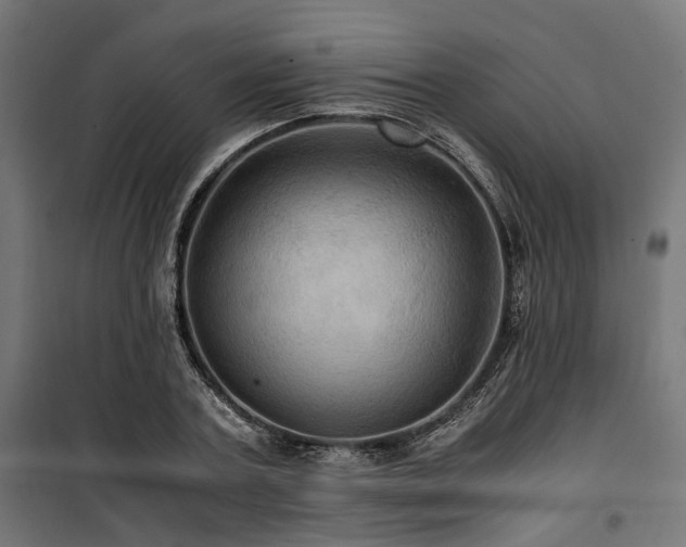 X0000100860787200806201216