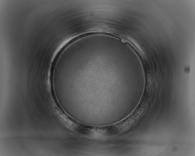 X0000100860788200806201216