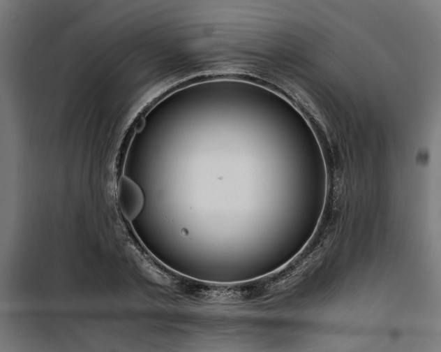 X0000100860789200806201216