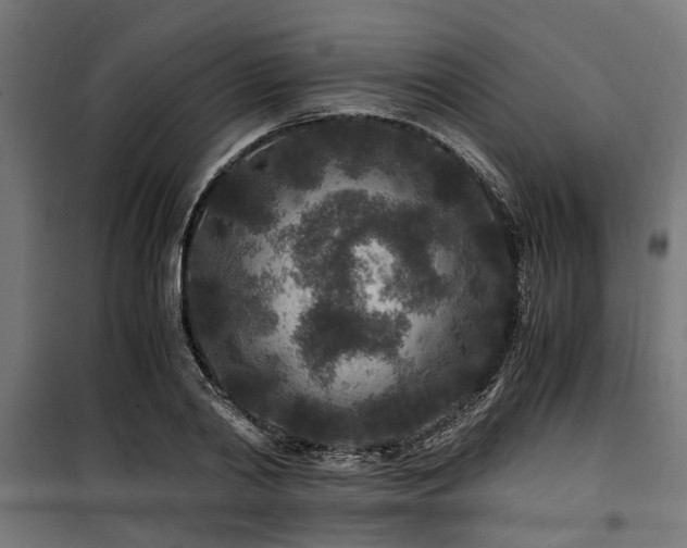 X0000100860790200806201216