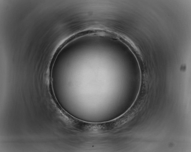 X0000100860791200806201216