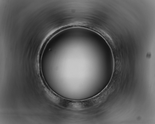 X0000100860792200806201216