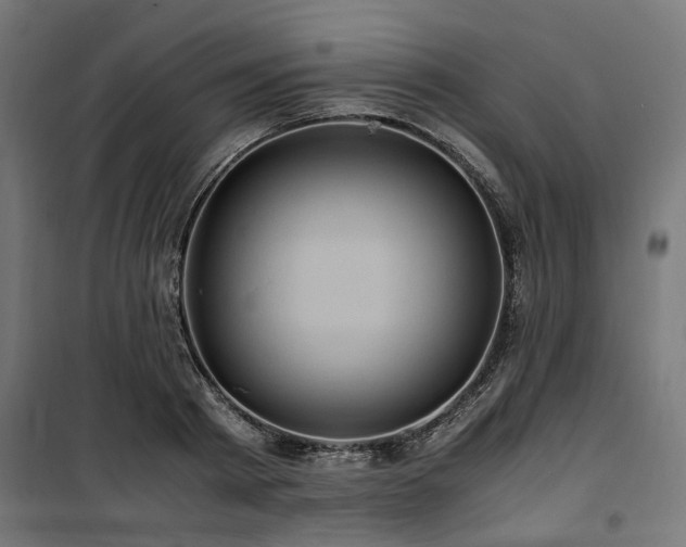 X0000100860793200806201216