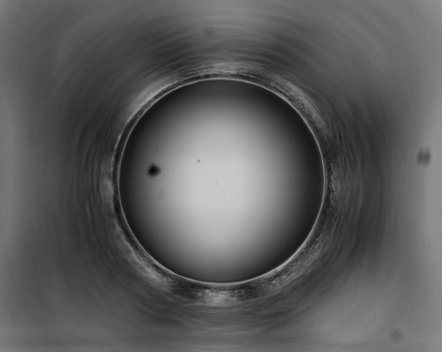 X0000100860794200806201216