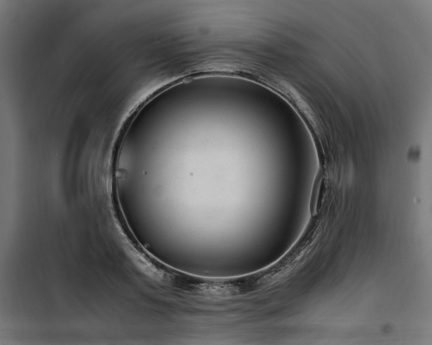 X0000100860795200806201216