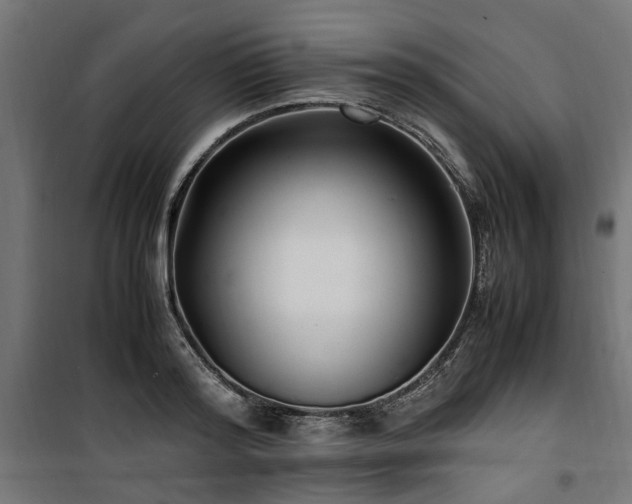 X0000100860796200806201216