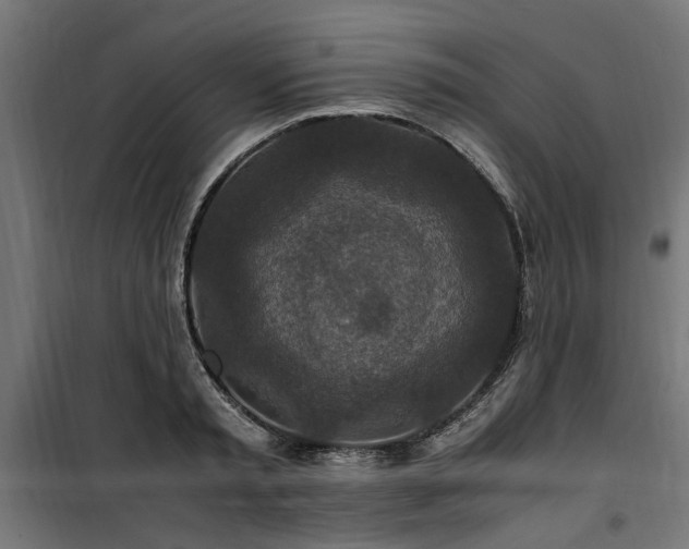 X0000100860797200806201216