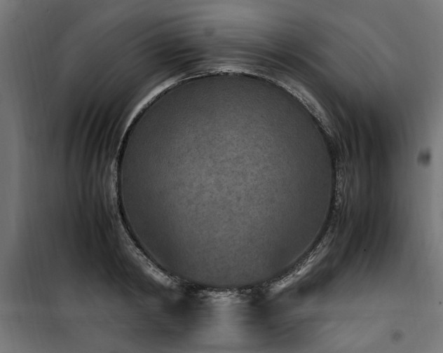 X0000100860798200806201216