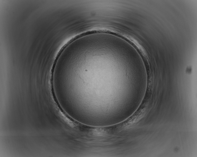 X0000100860799200806201216