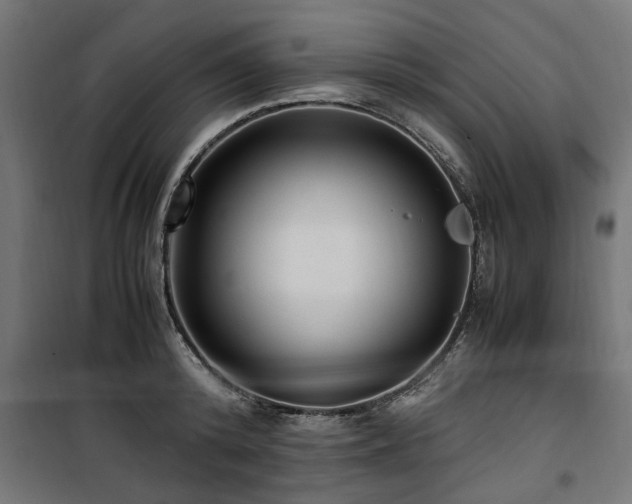 X0000100860800200806201216