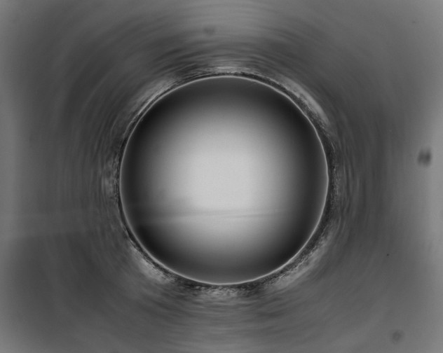 X0000100860801200806201216