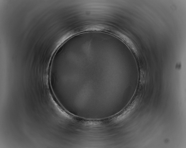 X0000100860802200806201215