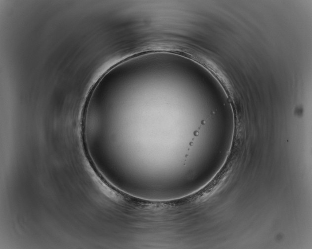 X0000100860803200806201215