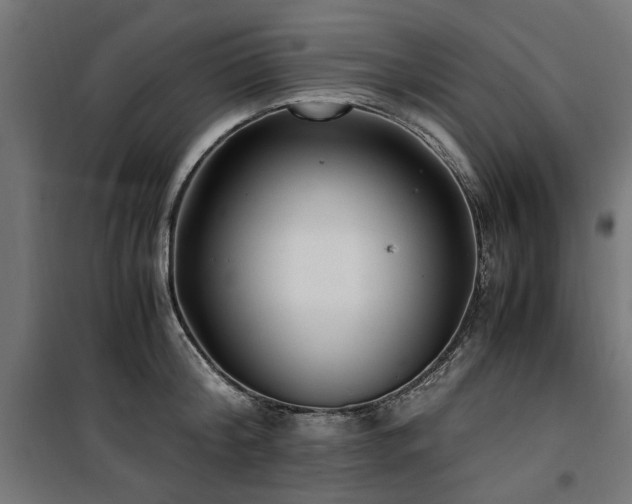 X0000100860804200806201215